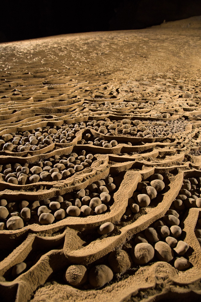 Cave pearls in Hang Son Doong, Phong Nha Ke Bang, Vietnam